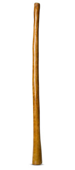 Gloss Finish Didgeridoo (TW763)